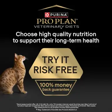 Convalescence cat food 2025